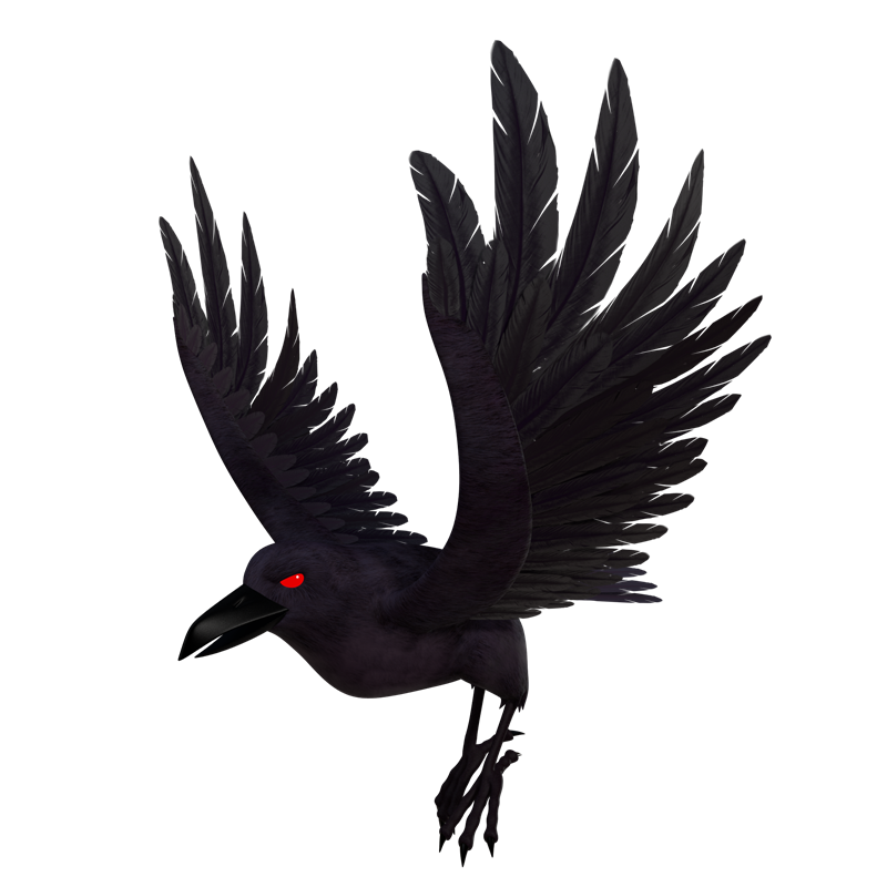 宠物-乌鸦-Crow-未知-配角.png